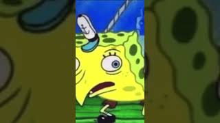 THE BEST GIF EVER! #spongebob #spongebobsquarepants #spongebobmemes #Spongebob #shorts #cool
