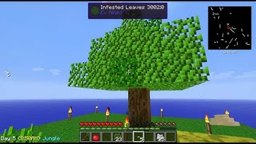 SkyFactory how to: Get string