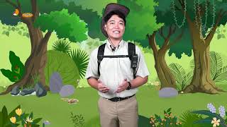 What Is National Learning Camp Or Nlc Of Deped?