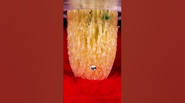 Everyday Ojects in Macro😍: #zoom #macro #macrovideo #macrozoom  #asmr #macrofying #microscope #micro