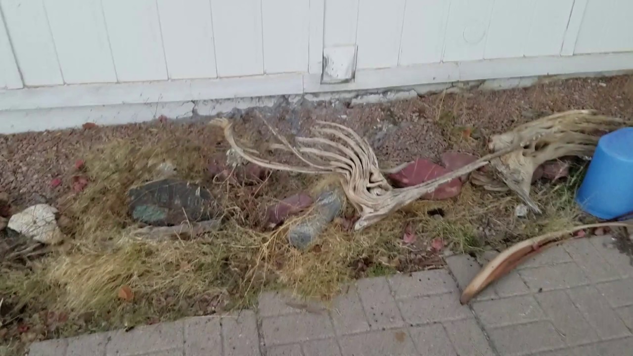 Foundation Repair Phoenix, Ahwatukee Arizona Concrete Repairman LLC Stem Wall Repair Experts AZ