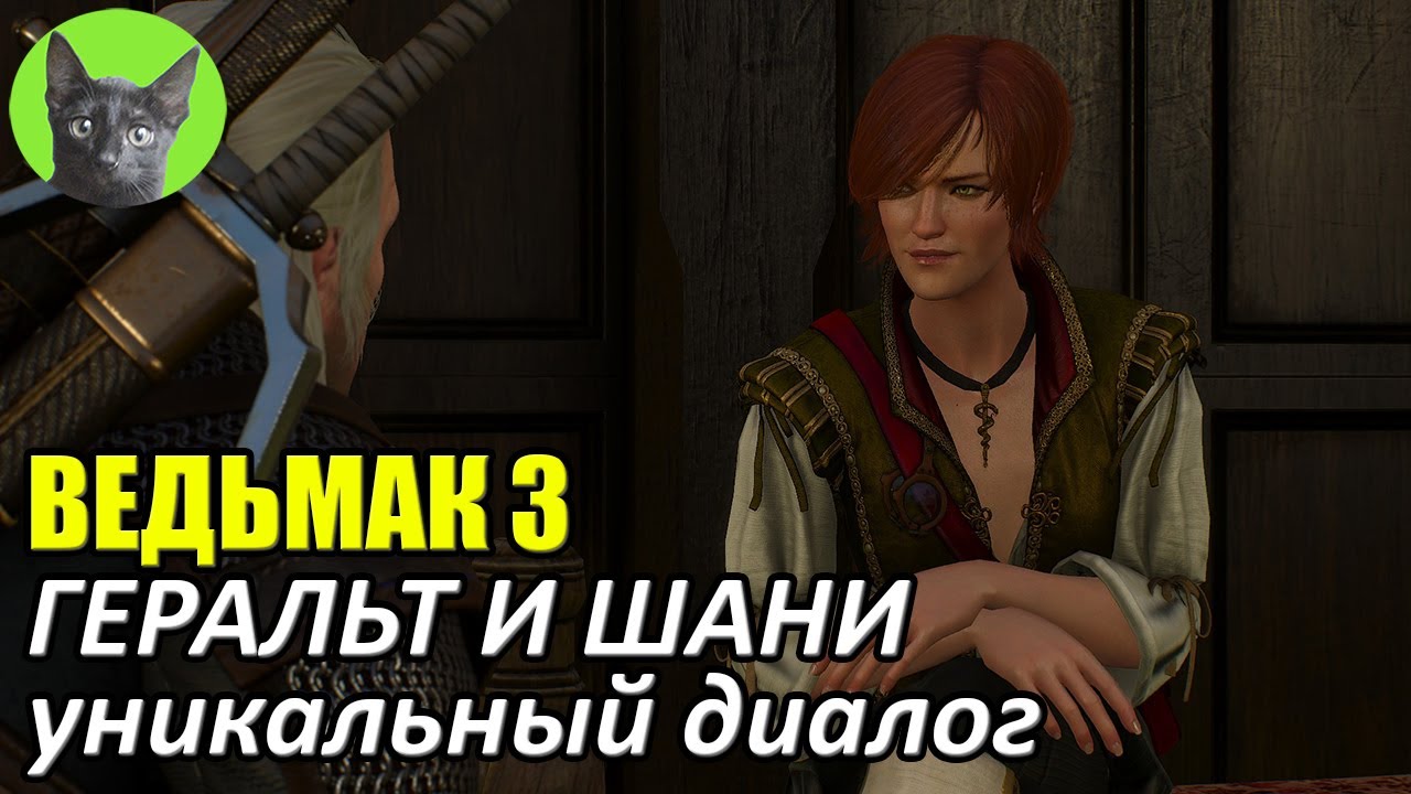 Ведьмак 3 - Альтернатива - Геральт и Шани (уникальный диалог)
