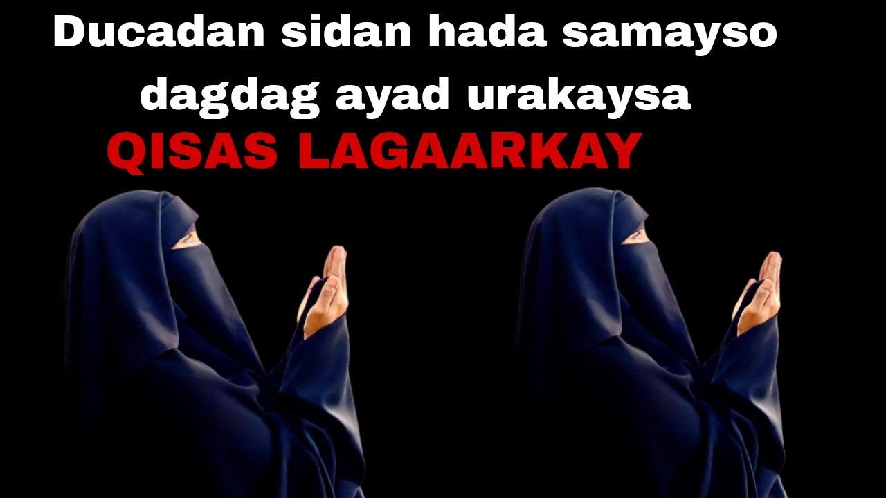 QISAS CAJAIBTA IYO FATUUXADKA LAGA ARKAY DUCADAAN DUCADAN WAA  DUCO DAGDAG AAD KUHELAYSO IJABADA