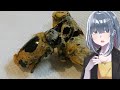 「カブトムシ」