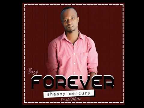 Shaaby mercury-forever