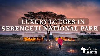 Top 5 Luxury Lodges in Serengeti National Park | Tanzania Safari | Africa Incoming