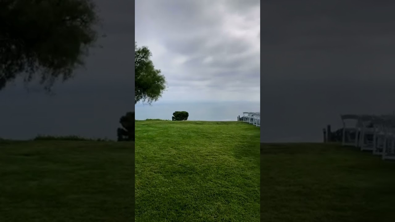 Another nice day at the office 🥂🎶 