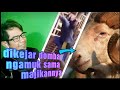 Youtube Thumbnail title