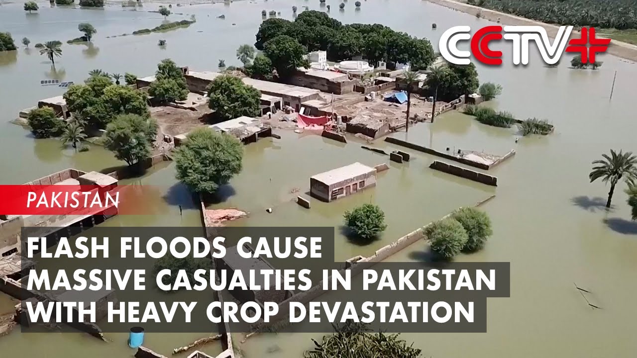 Flash Floods Cause Massive Casualties in Pakistan with Heavy Crop ...