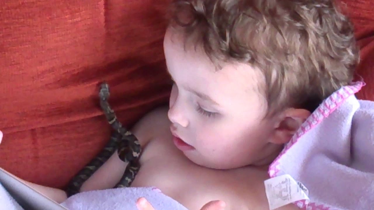 camera iphone 8 plus apk Russian Rat Snake and my 3year old son