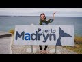 Puerto Madryn Turismo: Almuerzo en la Playa + Tour del Ecocentro, Chubut, Argentina