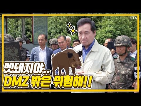 DMZ 넘는 멧돼지의 운명은? 최전방 철원 찾은 이낙연 총리, 돼지열병과 전쟁 선포!