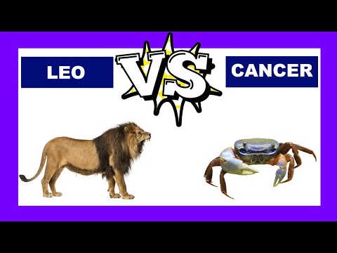 Wideo: Leo And Cancer: Zgodność W Związku Miłosnym