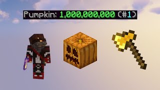 Becoming the True #1 Pumpkin Farmer in Hypixel Skyblock