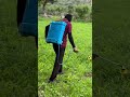 Khet Me Davae Chhatate Song Khet Me Davae Chhatate Song