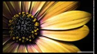 Technimatic - Intersection