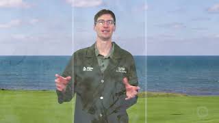 Famous Algae Corner: "What Is It?" - Slime Molds, "The Rude Ooze" Net Worth