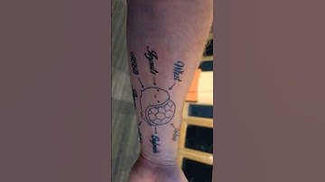 Outlining done on the turtle diagram!