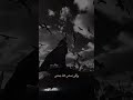 عيشي حياتك طنشي عيشي حياتك طنشي