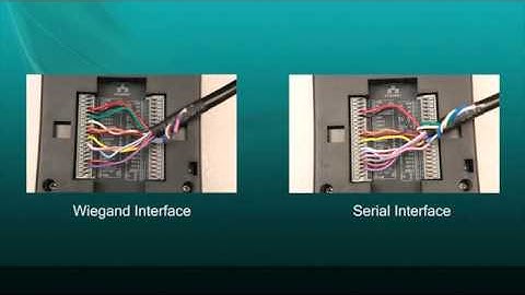 COSEC Premium DOOR Controller Installation in PANEL DOOR Mode  (Video 10 of 12)