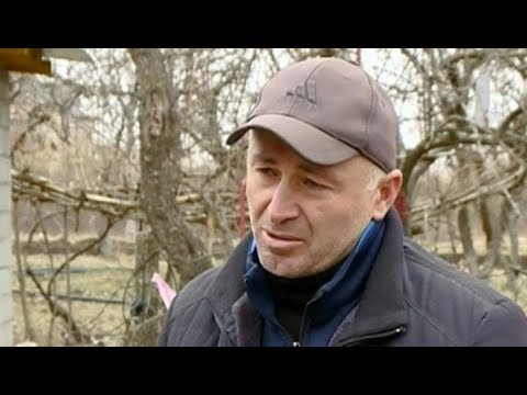 დაკავება საოკუპაციო ხაზთან