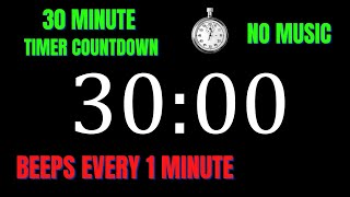 30 Minute Workout Countdown Timer with 1 Minute Interval Beeps | NO MUSIC screenshot 2