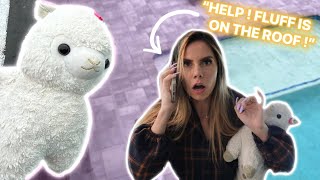 My Crazy Llama Climbs On The Roof How Do We Save Her ?