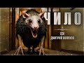 ССК | Общество Литературных Безумцев. ЧИЛО