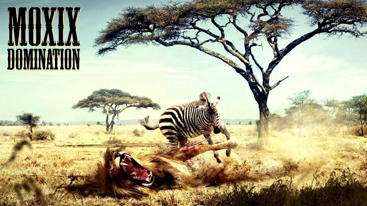 Moxix - Domination [NEW] [HD]