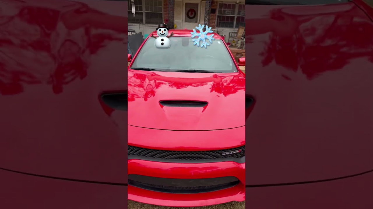 Beautiful South Georgia Snow ❄️ 