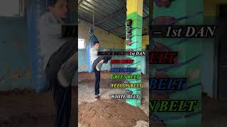 TAEKWONDO EVOLUTION !!#trendingnow #fitness #kungfu#fighting #style #amazing #motivation #life#tips