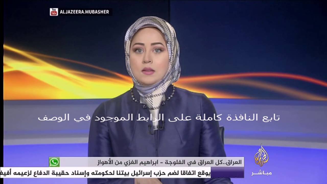 نافذة تفاعلية .. مطالب بوقف تصدير الأسلحة إلى مصر