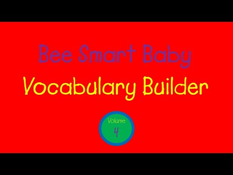 Bee Smart Baby - Vocabulary Builder: Vol. 4 (2000)