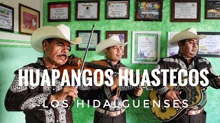 Huapangos Huastecos por el Trío Los Hidalguenses de Pachuca Hidalgo