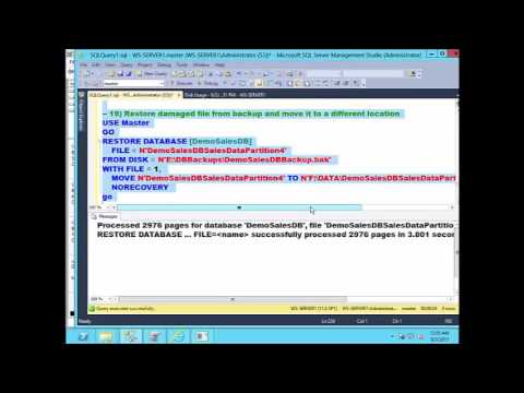 SQL Server Database Recovery Techniques 112
