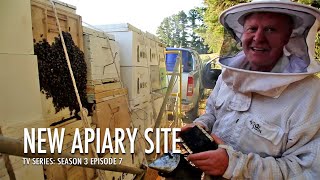 A Place to Bee - Setting Up New Apiary Sites | The Bush Bee Man by The Bush Bee Man 6,141 views 2 months ago 26 minutes