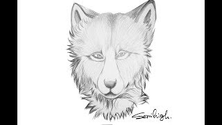 Draw tribal tiger head Tattoo with pencil | Cool Drawing screenshot 5