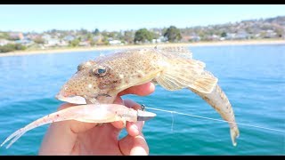 Soft Plastics fishing for Tasmanian summer Flathead || Blackmans Bay, Tasmania screenshot 2