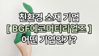 BGF에코머티리얼즈, 친환경 소재 전문 기업의 사업 구조 분석