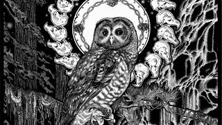 Escaping Aghartha - Great Grey Owl