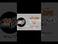 امسي ميقو روبن هود