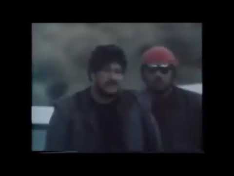 MONGREL MOB DOGZ