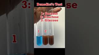 #biochemistry #carbohydrates #benedict #reducingsugar #chemistry #sucrose