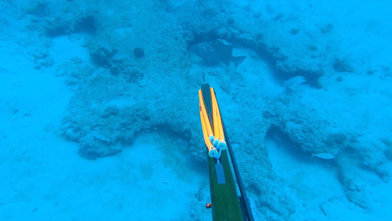 SPEARFISHING RED GROUPER HOLES IN 110'
