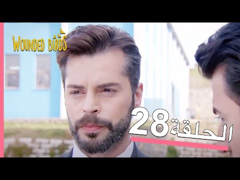 الطيور الجريحة الحلقة الكاملة 28 