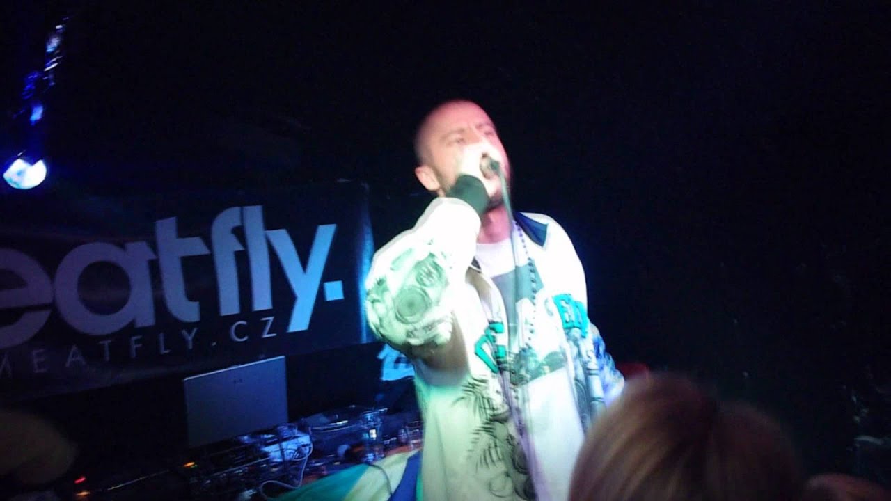 STEPPA STYLE - JUNGLE REBEL (TOUR 2011 LIVE IN OPAVA)