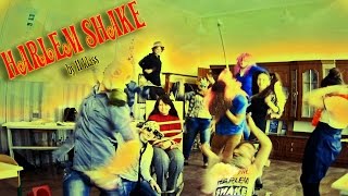 |Harlem Shake by 11 klass|