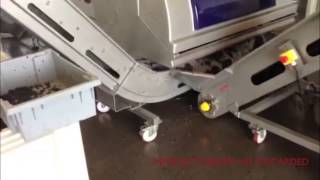 Dominus Estate Optical Sorting 2013