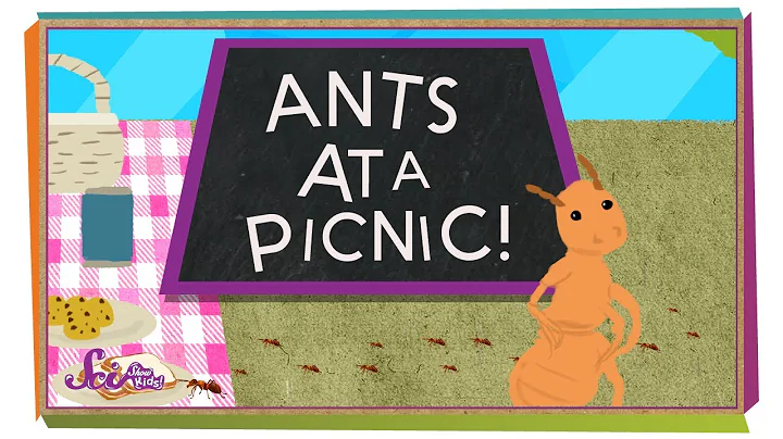 How Do Ants Find Food? | Animal Science for Kids