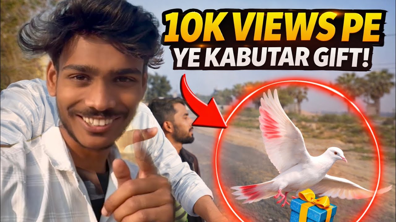 10k view pe pigeon gift || Bike ke sath kabutar uar raha hai 😱|| Like and subscribe || 